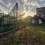 Pomegranate Tree House - Meteora منزل ريفي *