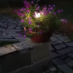 Pomegranate Tree House - Meteora منزل ريفي *