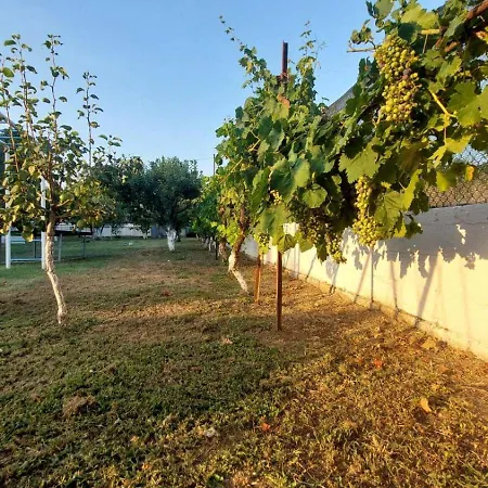 Country house Pomegranate Tree House - Meteora