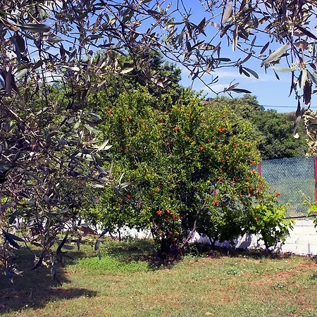 Pomegranate Tree House - Meteora * Kalambaka