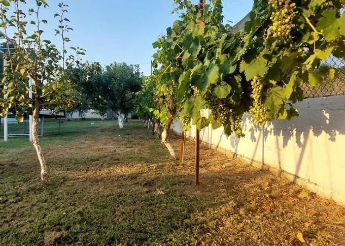 Country house Pomegranate Tree House - Meteora
