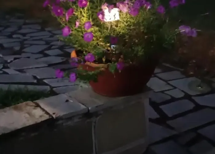 Pomegranate Tree House - Meteora Casa di campagna *