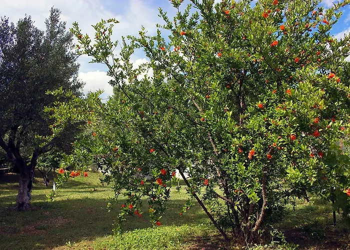 Pomegranate Tree House - Meteora Casa di campagna *