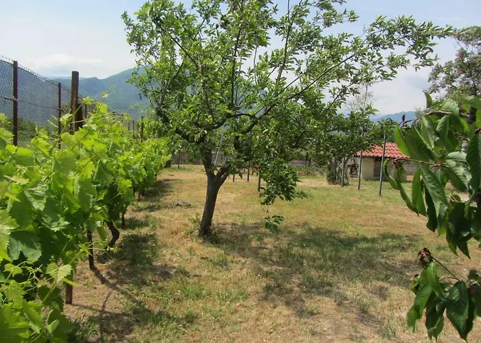 Casa di campagna Pomegranate Tree House - Meteora *